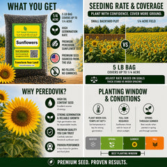 TnT Seed Company seed texture detail highlighting oil-rich, bird-attracting seeds