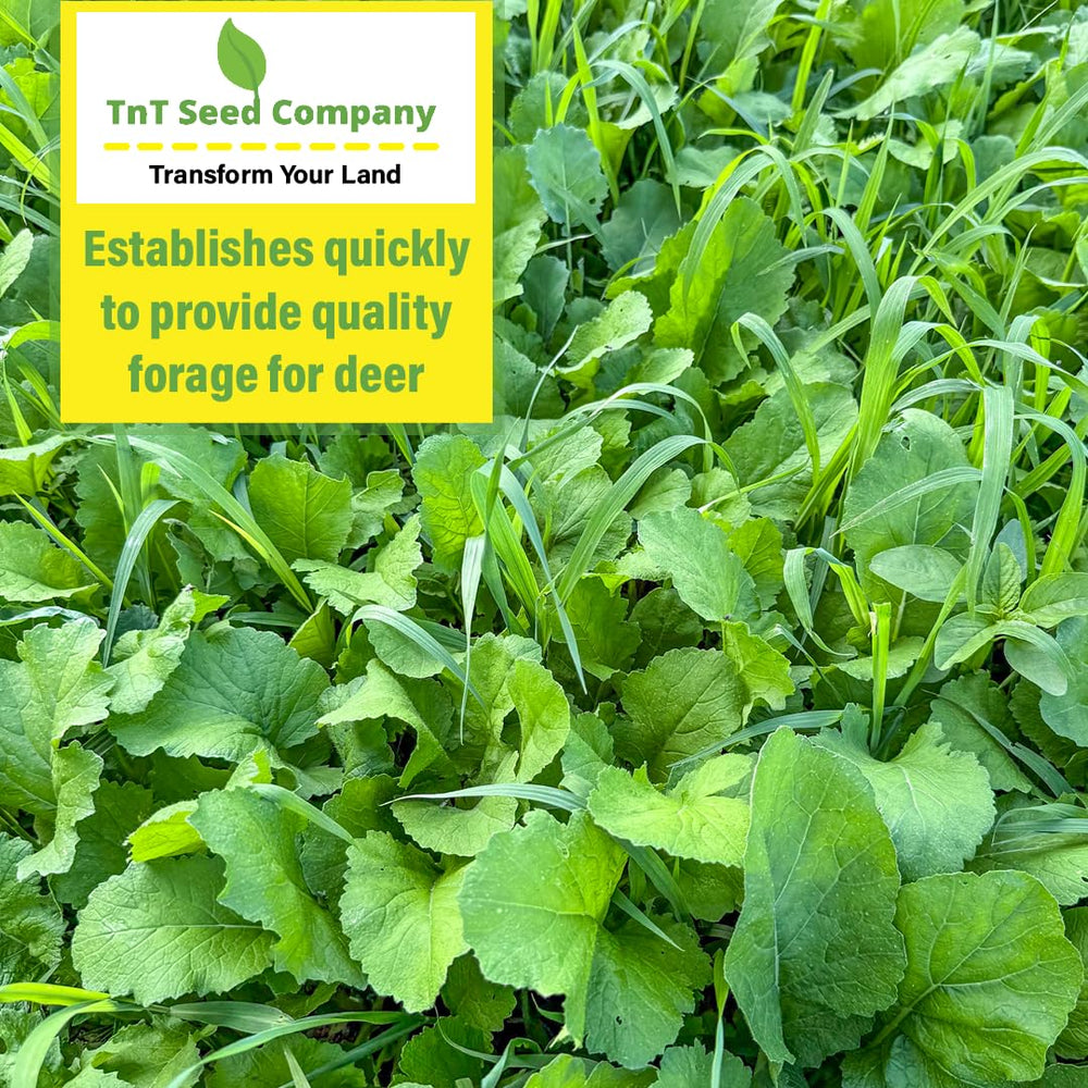 TnT Seed Company jug label detail highlighting seed components and coverage