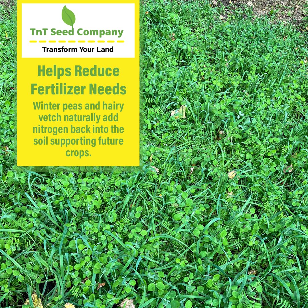 TnT Seed Company seedlings sprouting quickly to protect soil and suppress weeds