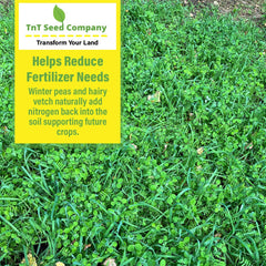 TnT Seed Company seedlings sprouting quickly to protect soil and suppress weeds