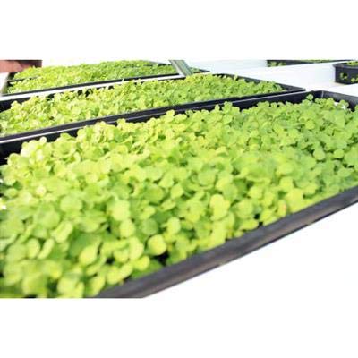 TO Plastics close-up label showing made in USA quality and reliability benefit