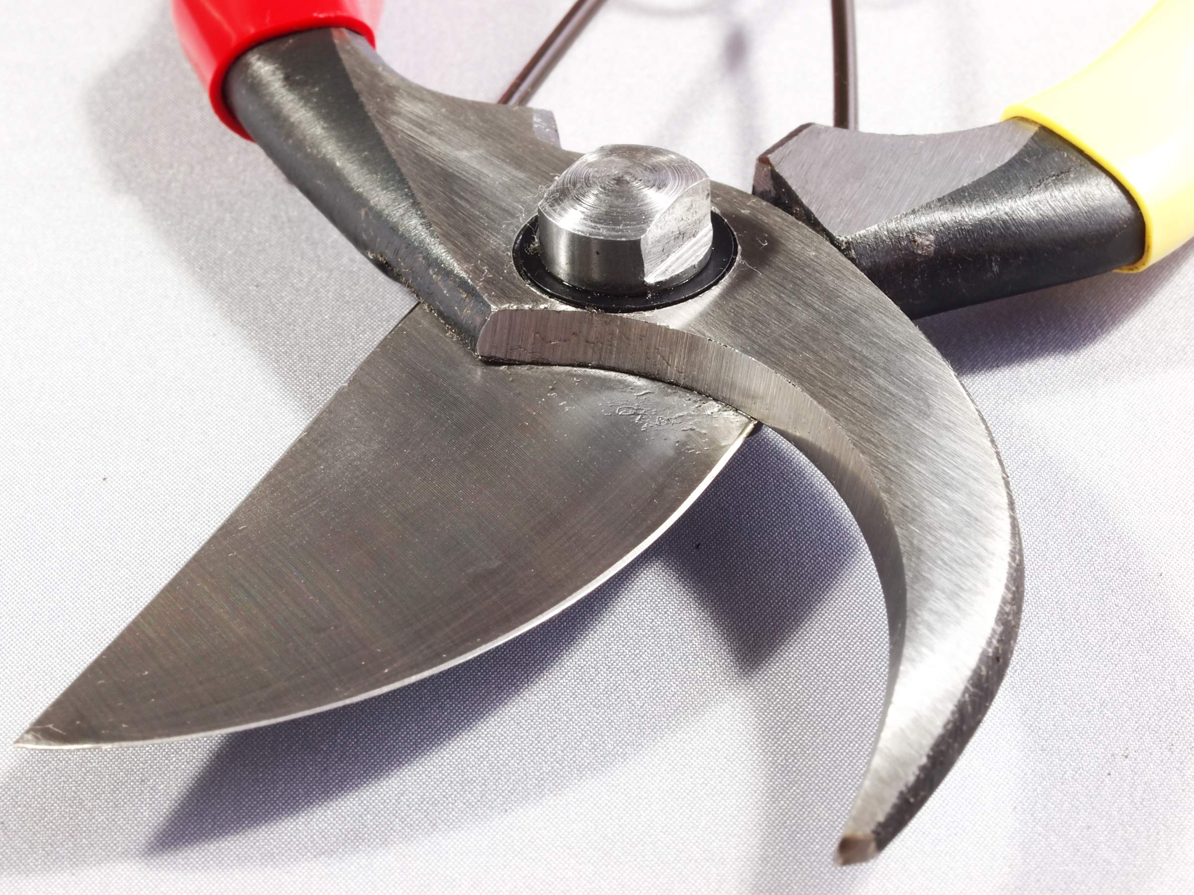 飛塚製鋏所 SR-1 pivot and screw detail showing robust construction for smooth action