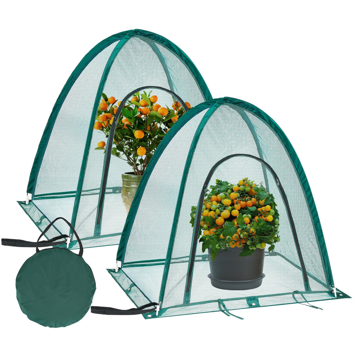 ToBoom front view of pop-up cover protecting seedlings, keeps pests away