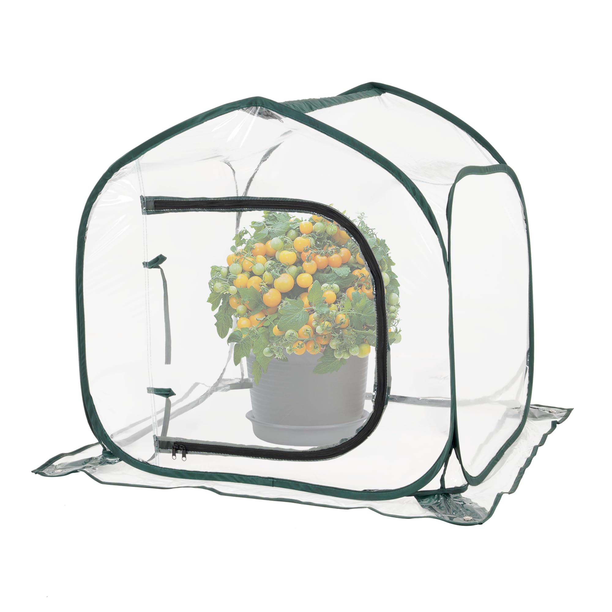 ToBoom front view of greenhouse showing clear cover and accessibility benefit