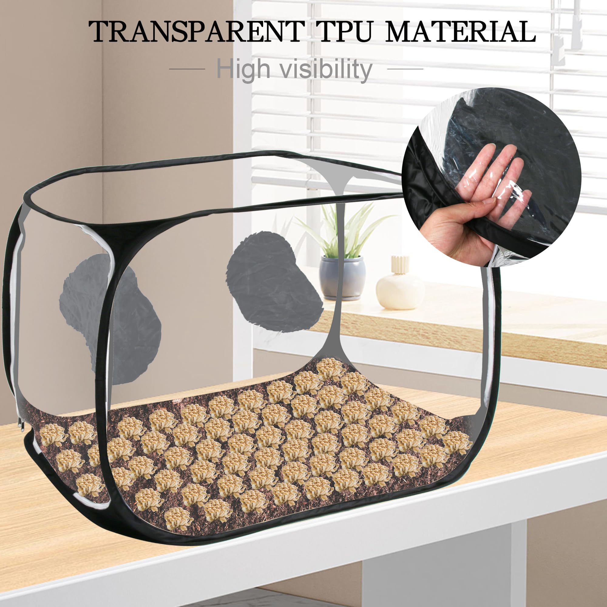 ToBoom interior with jars demonstrating organized inoculation workspace benefit