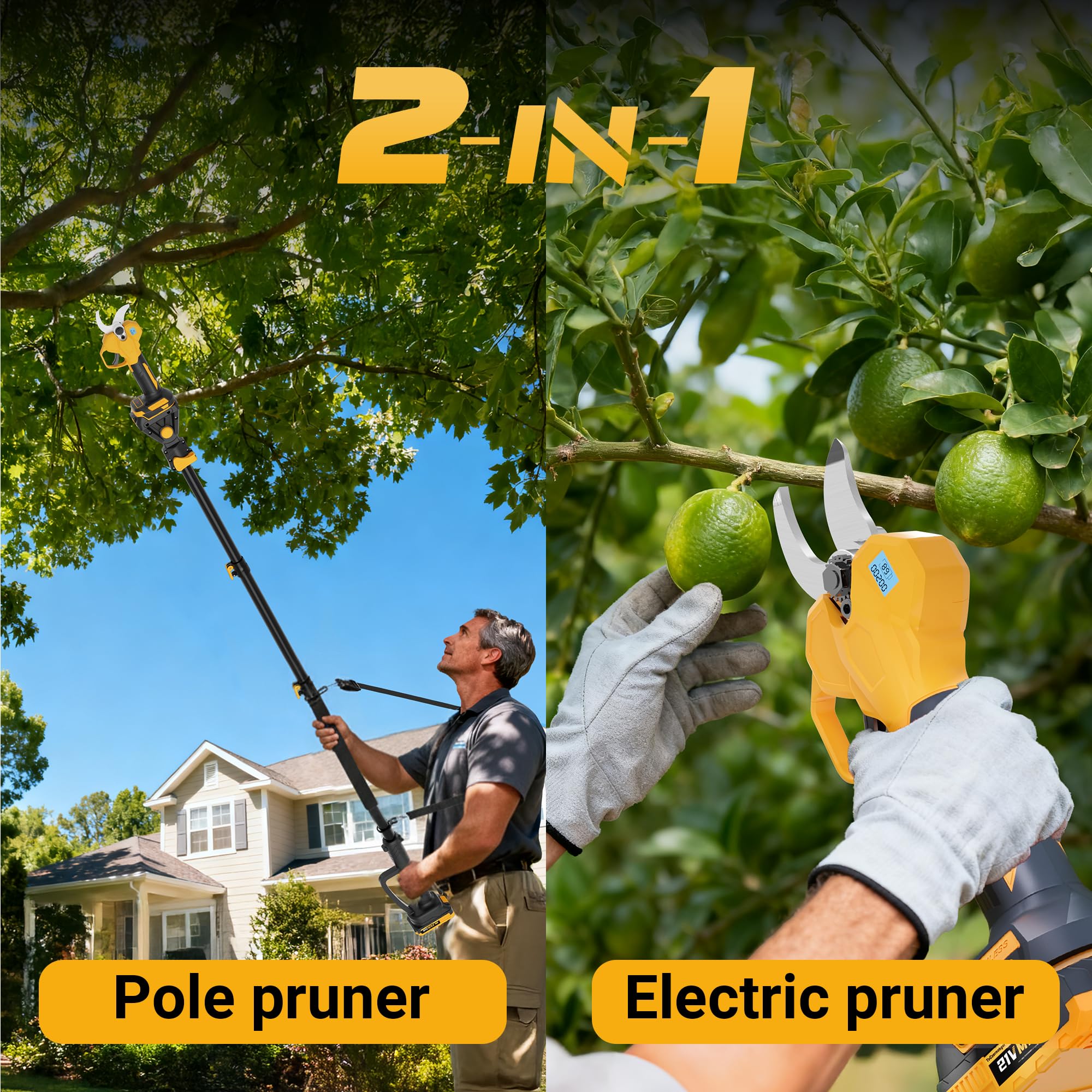 ToCzernobgol extended pole reaching high branches for ladder-free safety