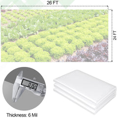 ToLanbbt close-up of 6 mil polyethylene texture highlighting tear resistance