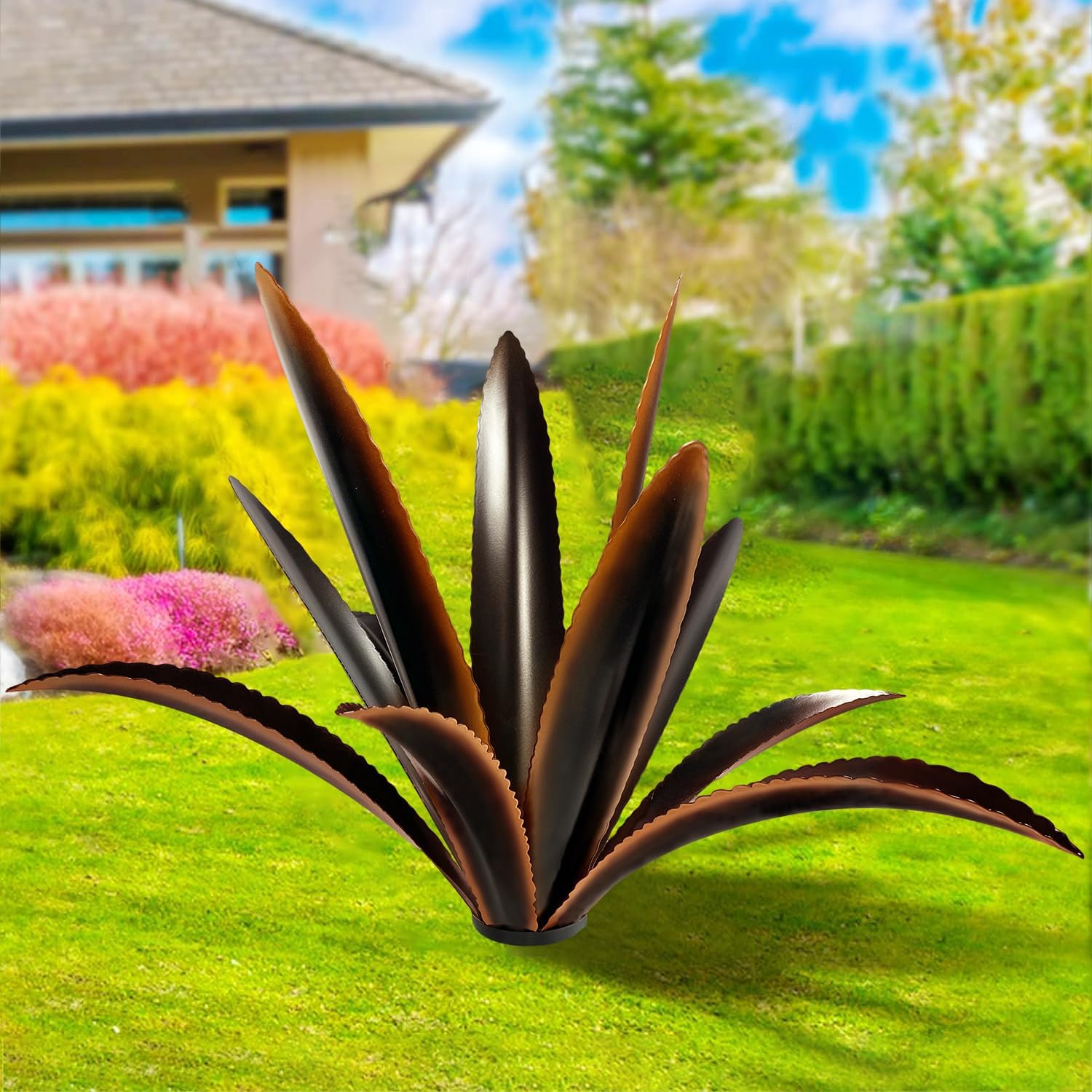 TOMBABY agave front view showing sculptural form and instant curb appeal