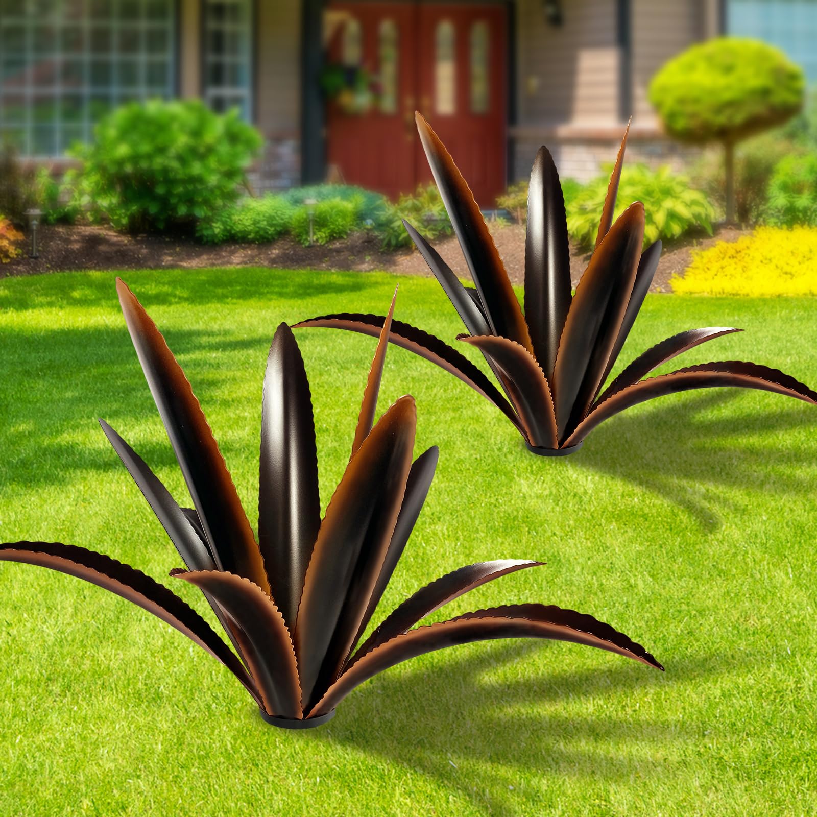 TOMBABY agave front view showing sculptural form and instant garden impact