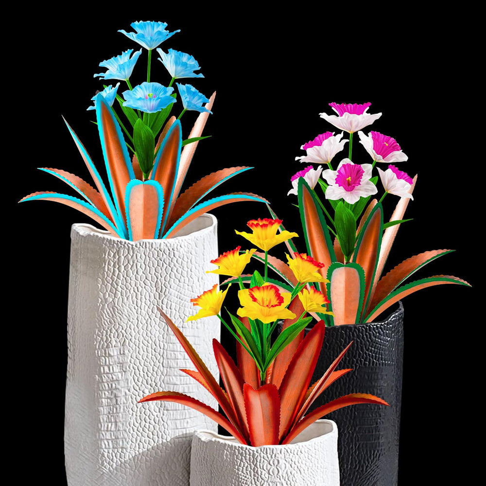 TOMBABY agave placed in a garden setting to add color and architectural interest