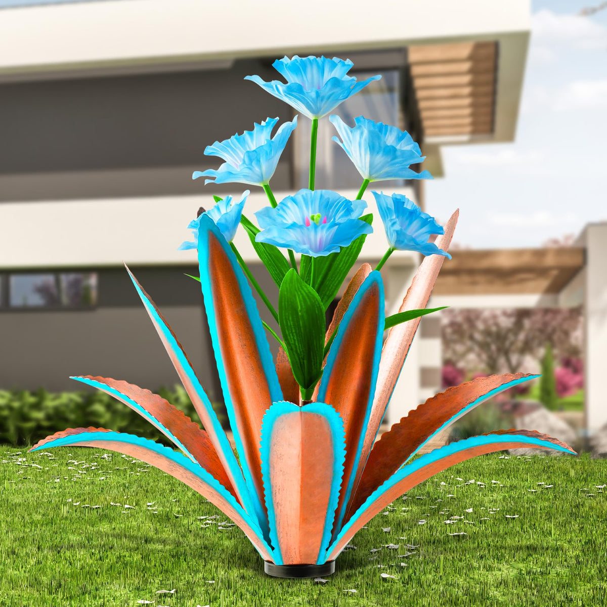 TOMBABY blue agave front view showing sculptural yard impact