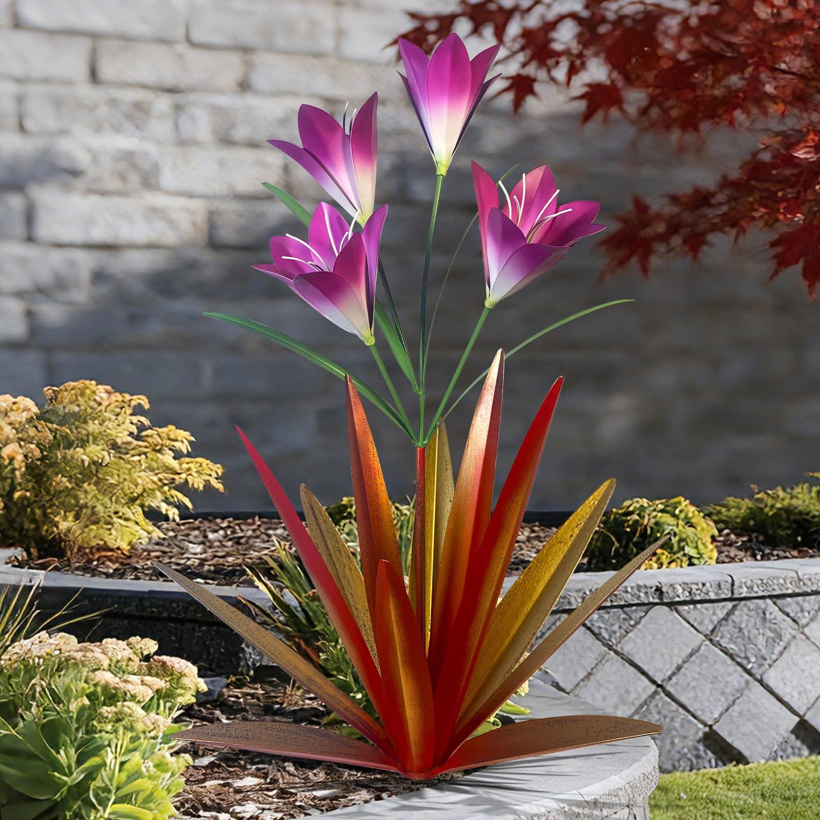 TOMBABY red agave front view showing bold color and focal appeal
