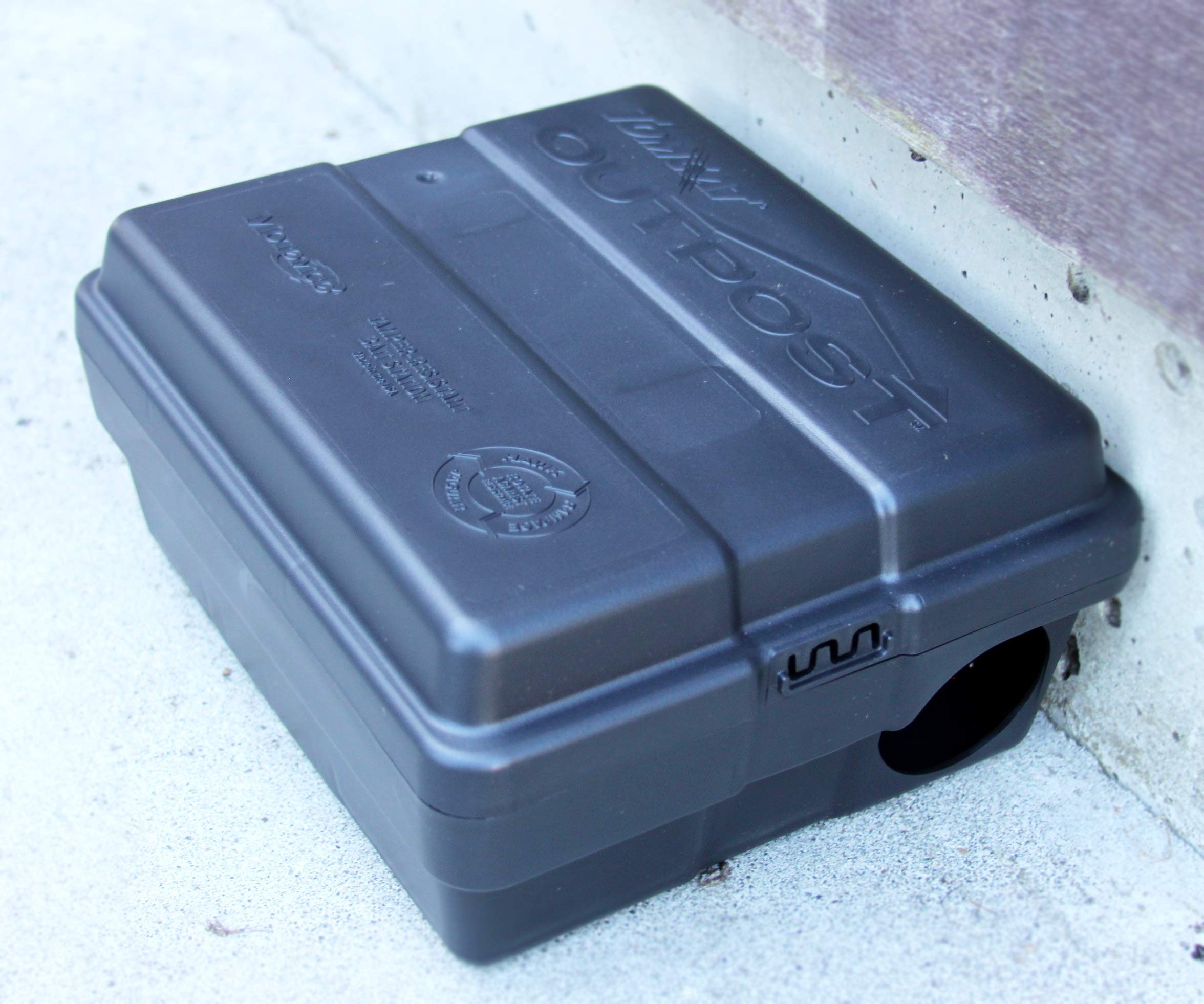 Tomcat station with bait chunx inside showing protected bait longevity