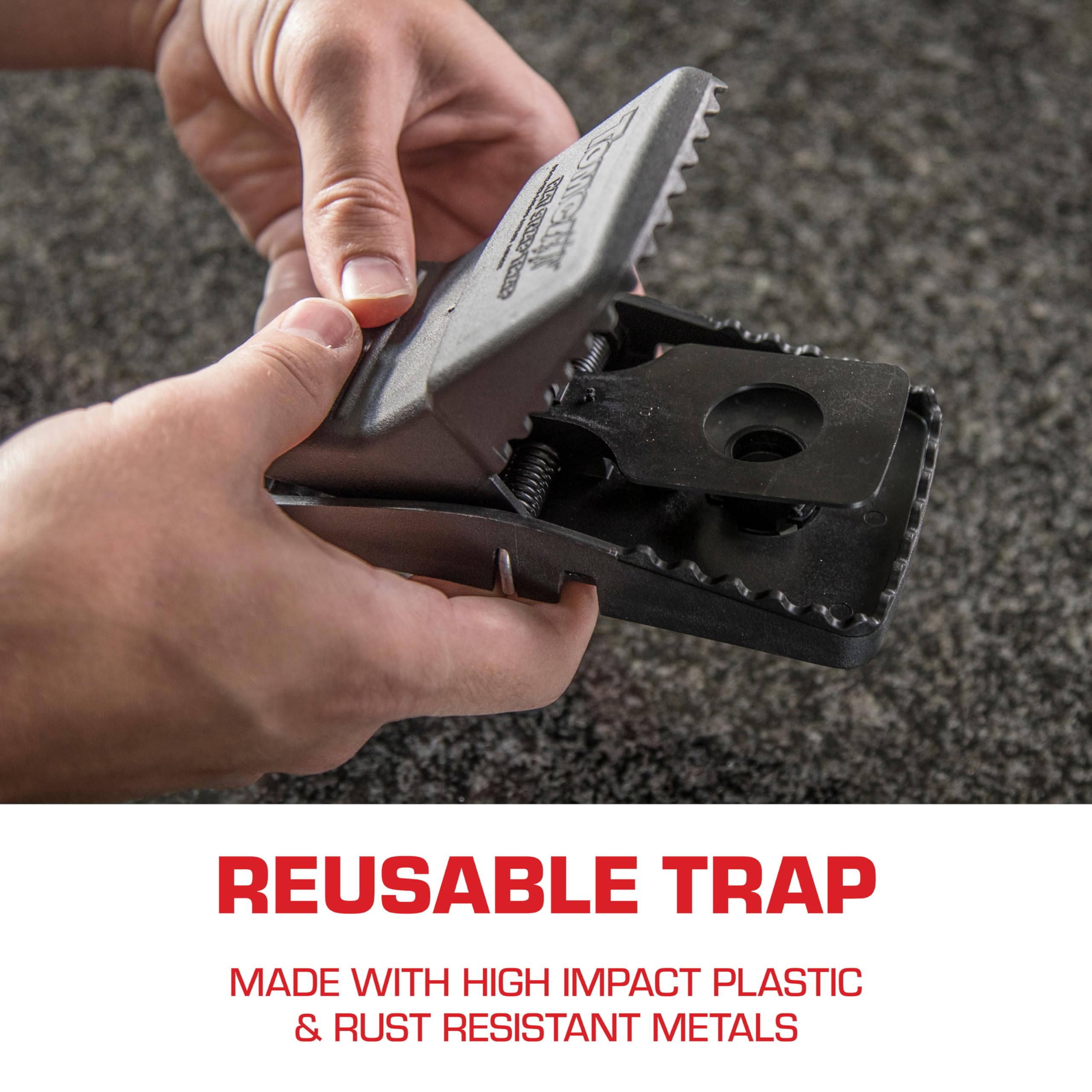 Tomcat trap being set by hand highlighting simple one-handed or foot setting