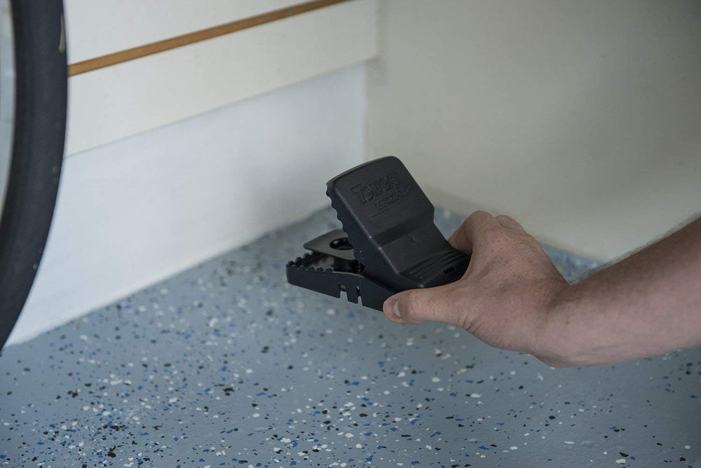 Tomcat placed on wooden floor illustrating household use and efficiency