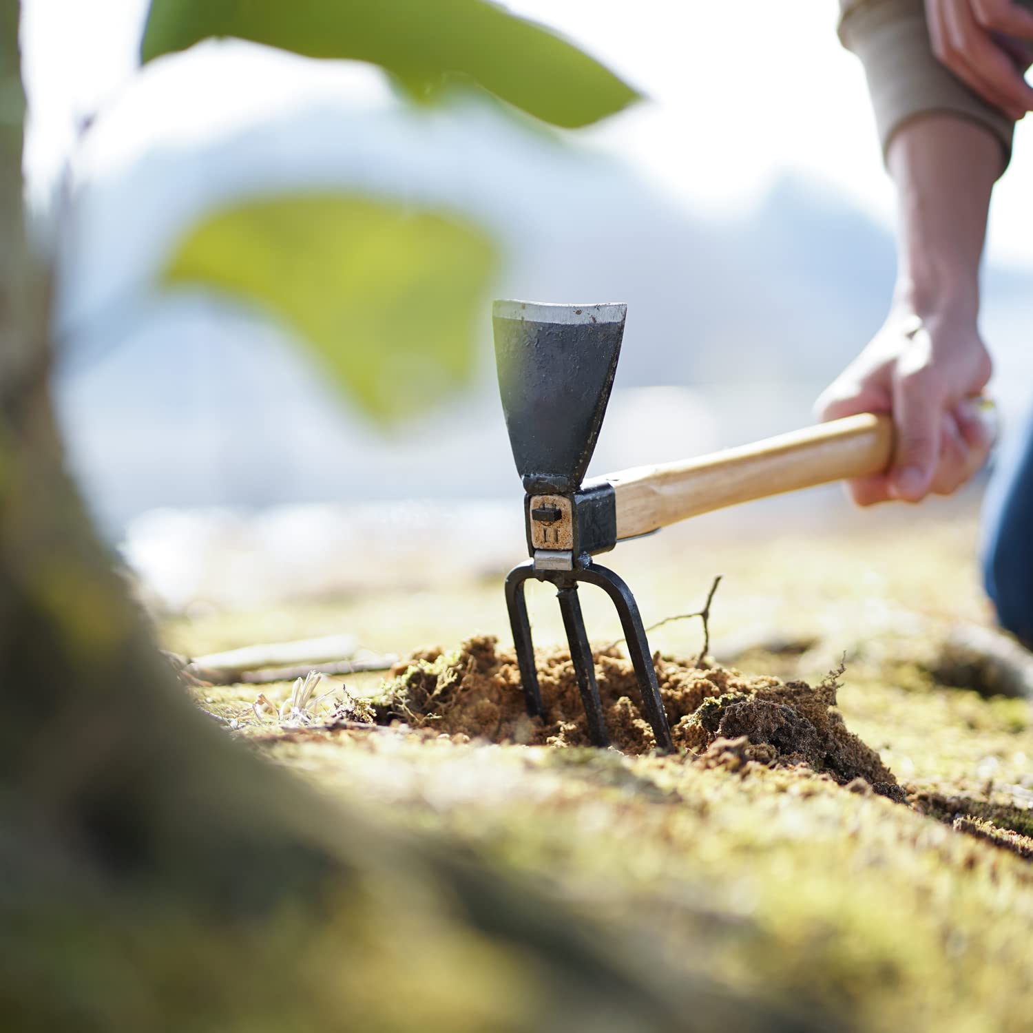 Tomerry wooden-handle grain detail showing comfortable lightweight grip
