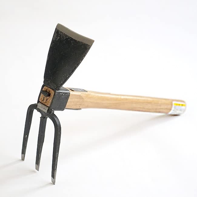 Tomerry lifestyle urban garden setting showing practical everyday use