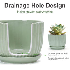 Ton Sin drainage hole detail demonstrating water control and plant health benefit