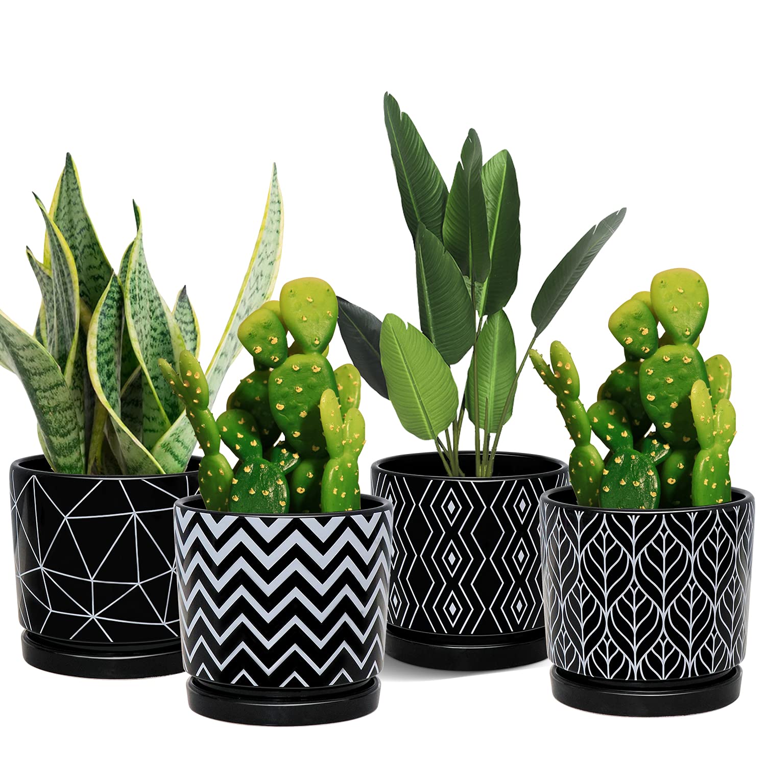 Ton Sin front view of four black ceramic planters showing modern design and balance