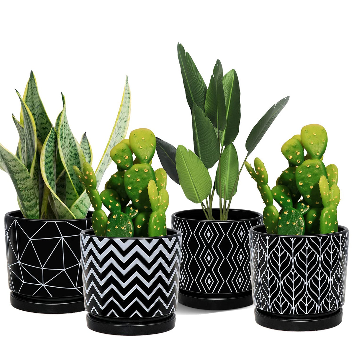 Ton Sin front view of four black ceramic planters showing modern design and balance