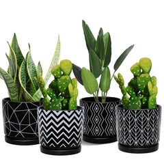 Ton Sin front view of four black ceramic planters showing modern design and balance
