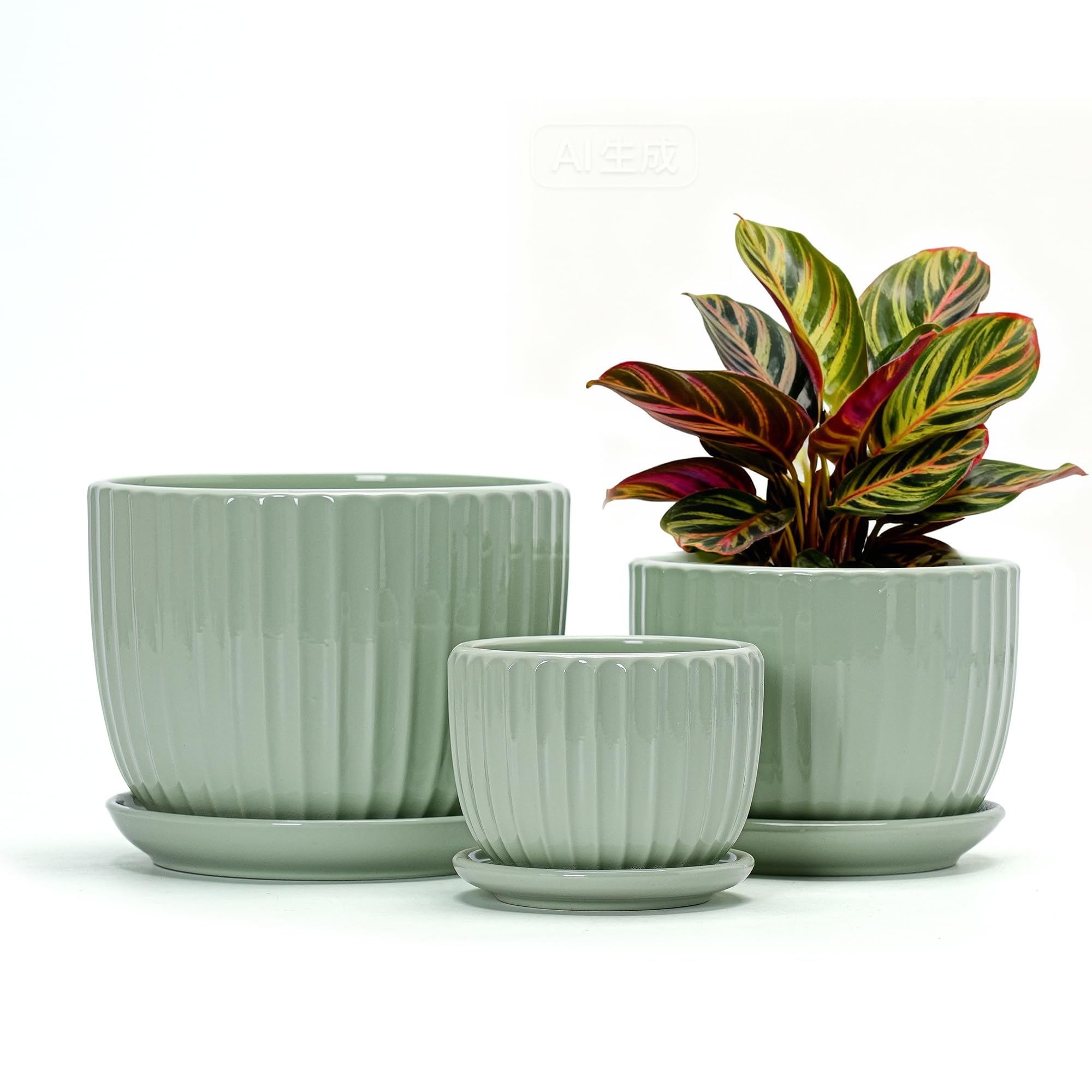 Ton Sin front view of three light green pots showing coordinated finish and appeal