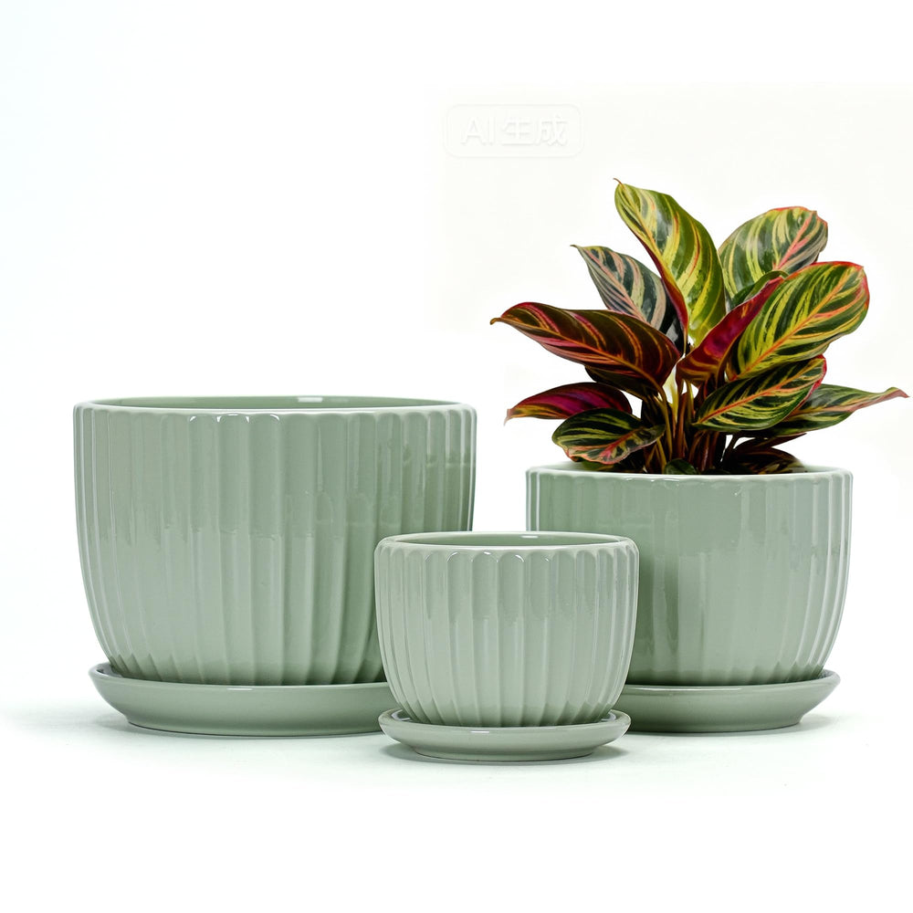 Ton Sin front view of three light green pots showing coordinated finish and appeal