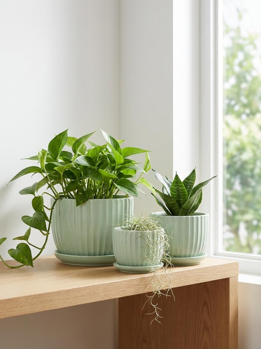 Ton Sin gift-wrapped pot set showing ready-to-give convenience and charm