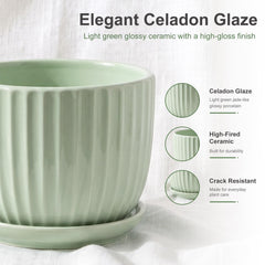 Ton Sin close-up of ceramic glaze texture highlighting durable glossy finish