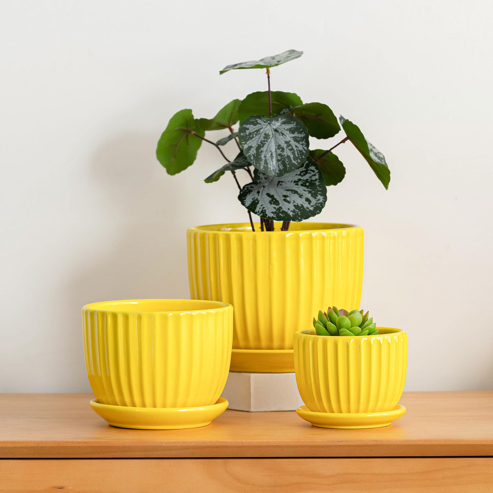 Ton Sin planter in use with aloe on a sunny windowsill demonstrating space-saving indoor gardening
