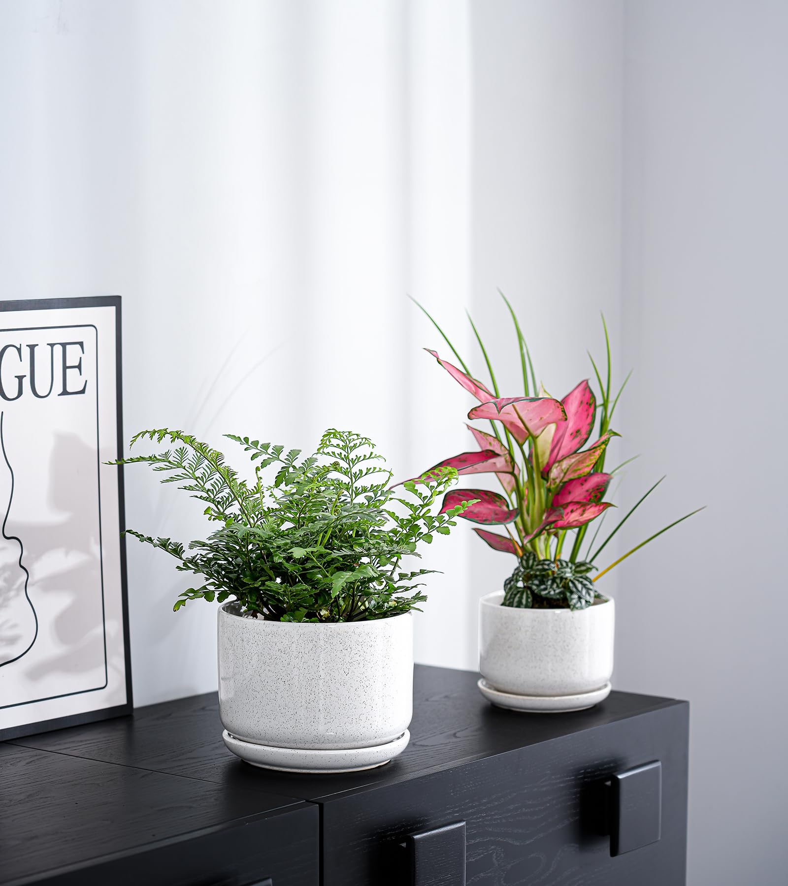 Ton Sin planters beside a ruler to show size comparison and suitability for various houseplants