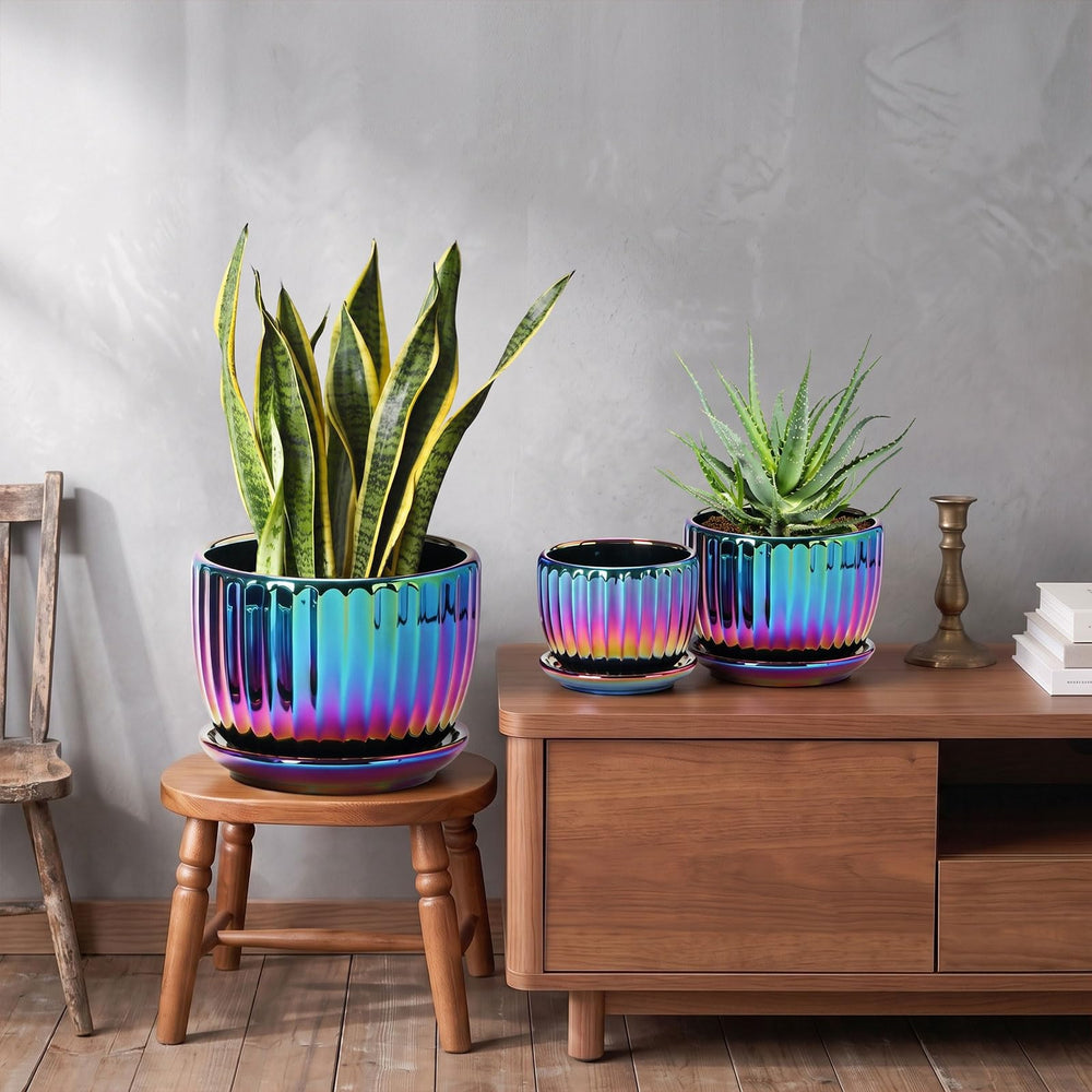 Ton Sin planters styled on a windowsill with plants, boosts indoor greenery