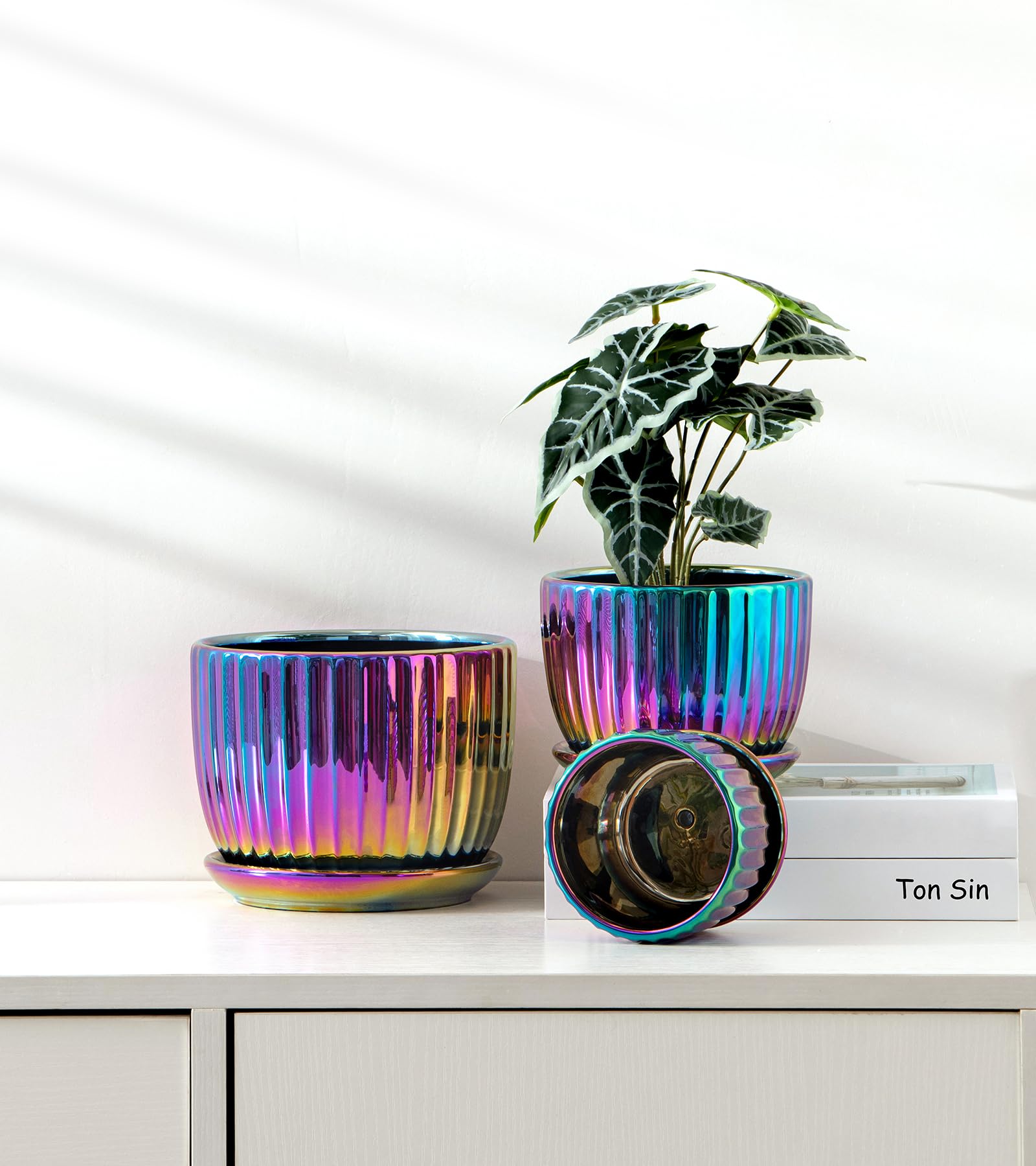 Ton Sin planter held in hand for scale, shows portable compact dimensions