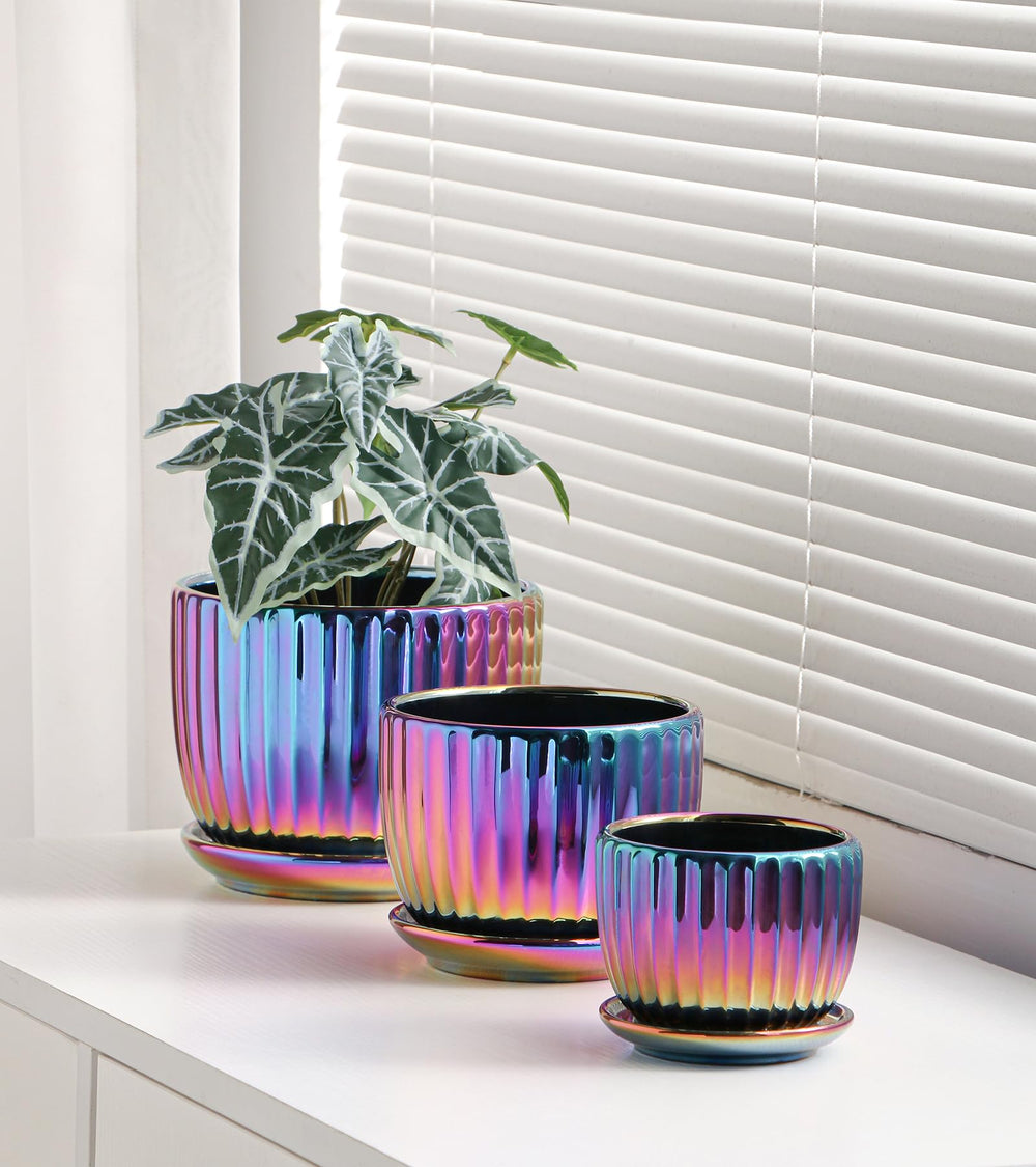 Ton Sin planters with matching saucers side profile, protects furniture surfaces