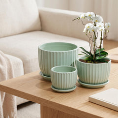 Ton Sin pots styled on a windowsill showing decorative impact and space-saving benefit