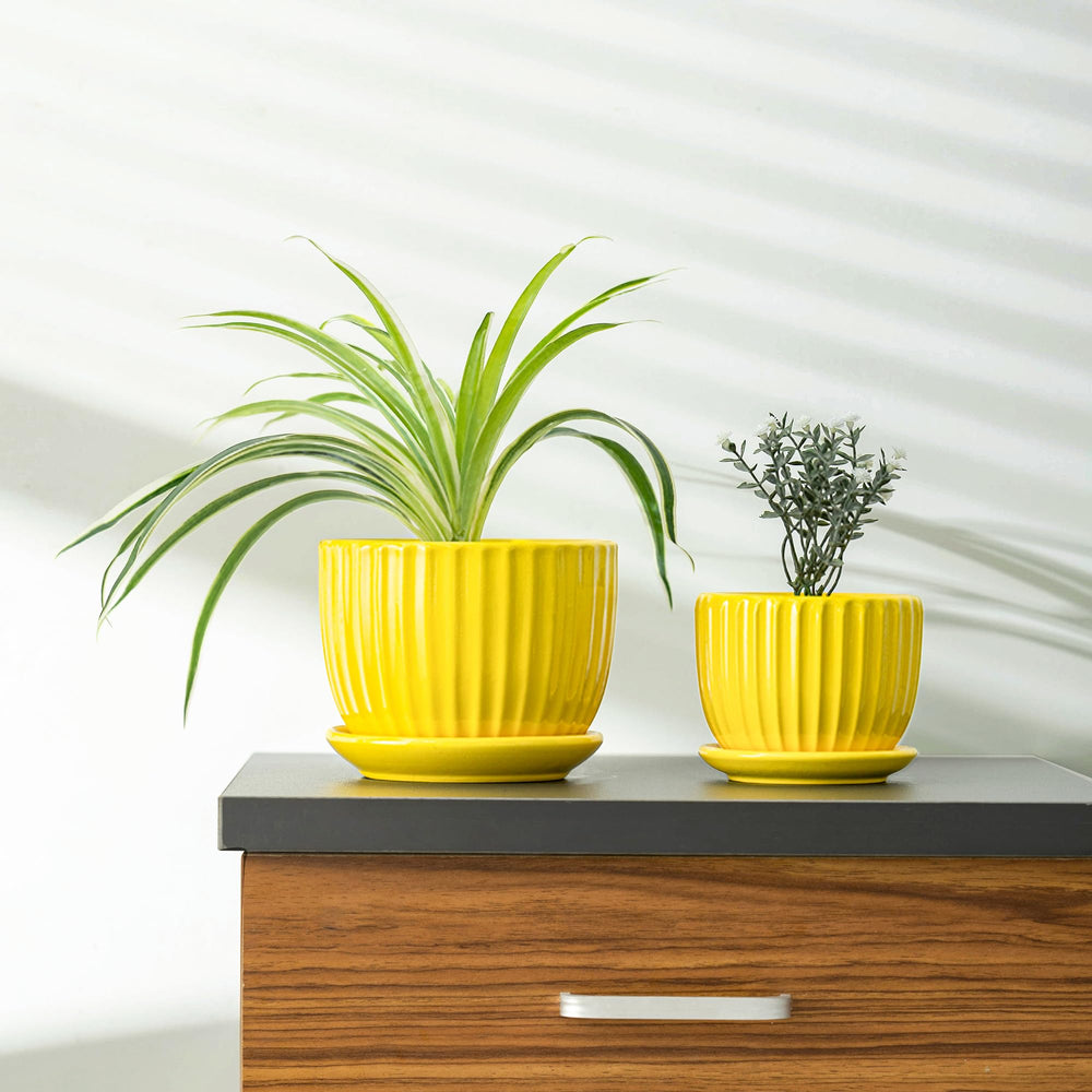 Ton Sin planter next to coffee mug for size comparison showing realistic scale and placement guidance