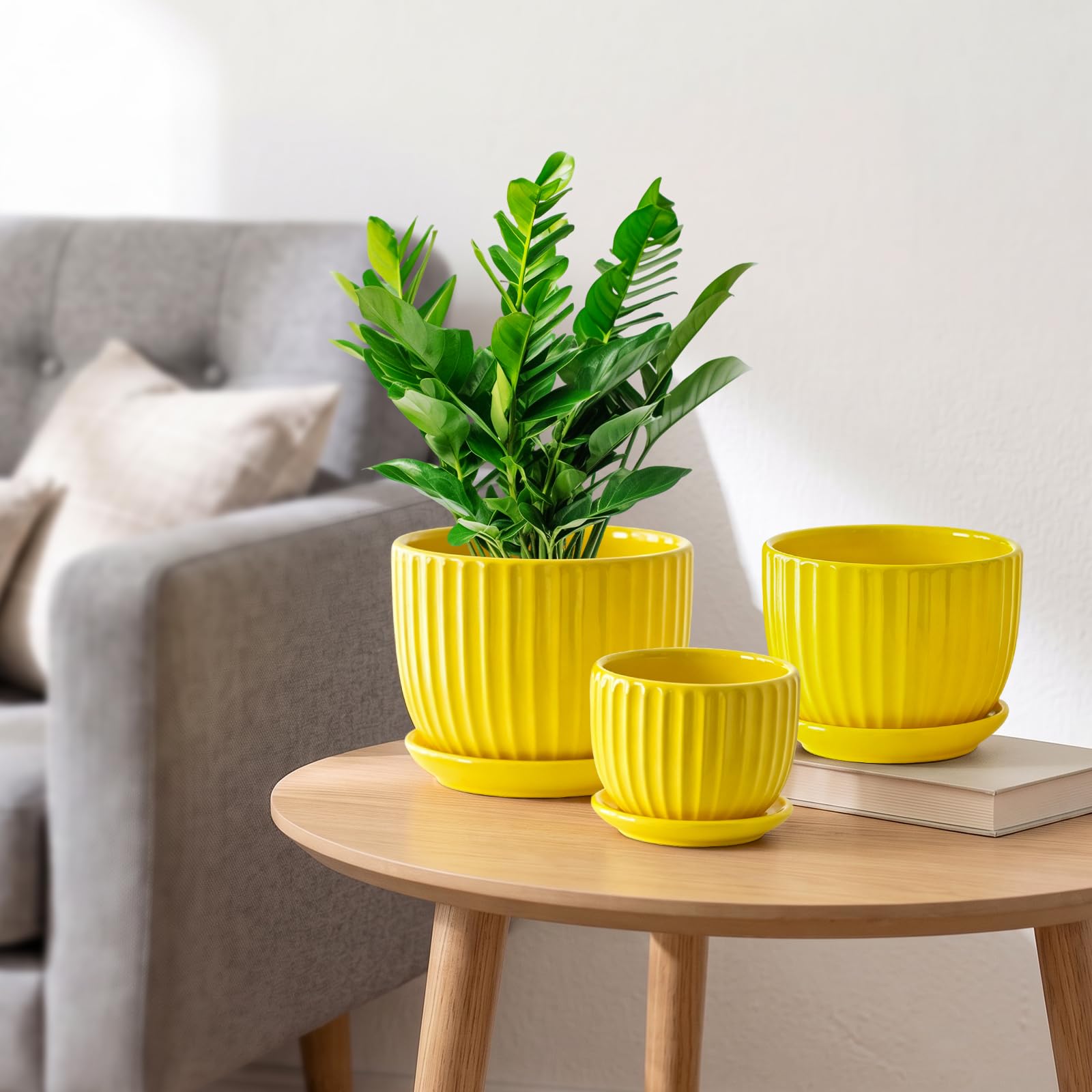 Ton Sin trio styled on a living room shelf demonstrating decorative impact and brightening effect