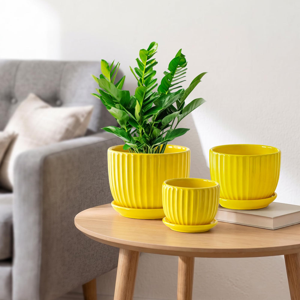 Ton Sin trio styled on a living room shelf demonstrating decorative impact and brightening effect