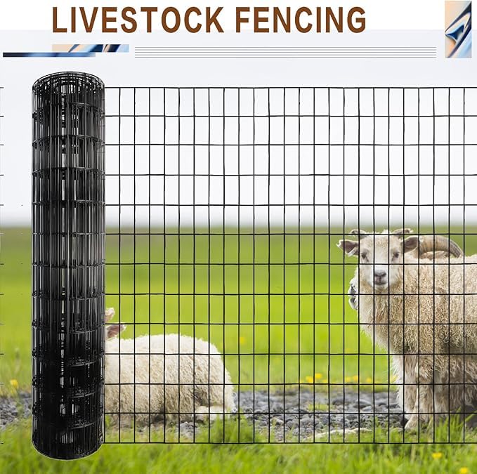 TONGMO poultry enclosure in backyard demonstrating secure bird protection