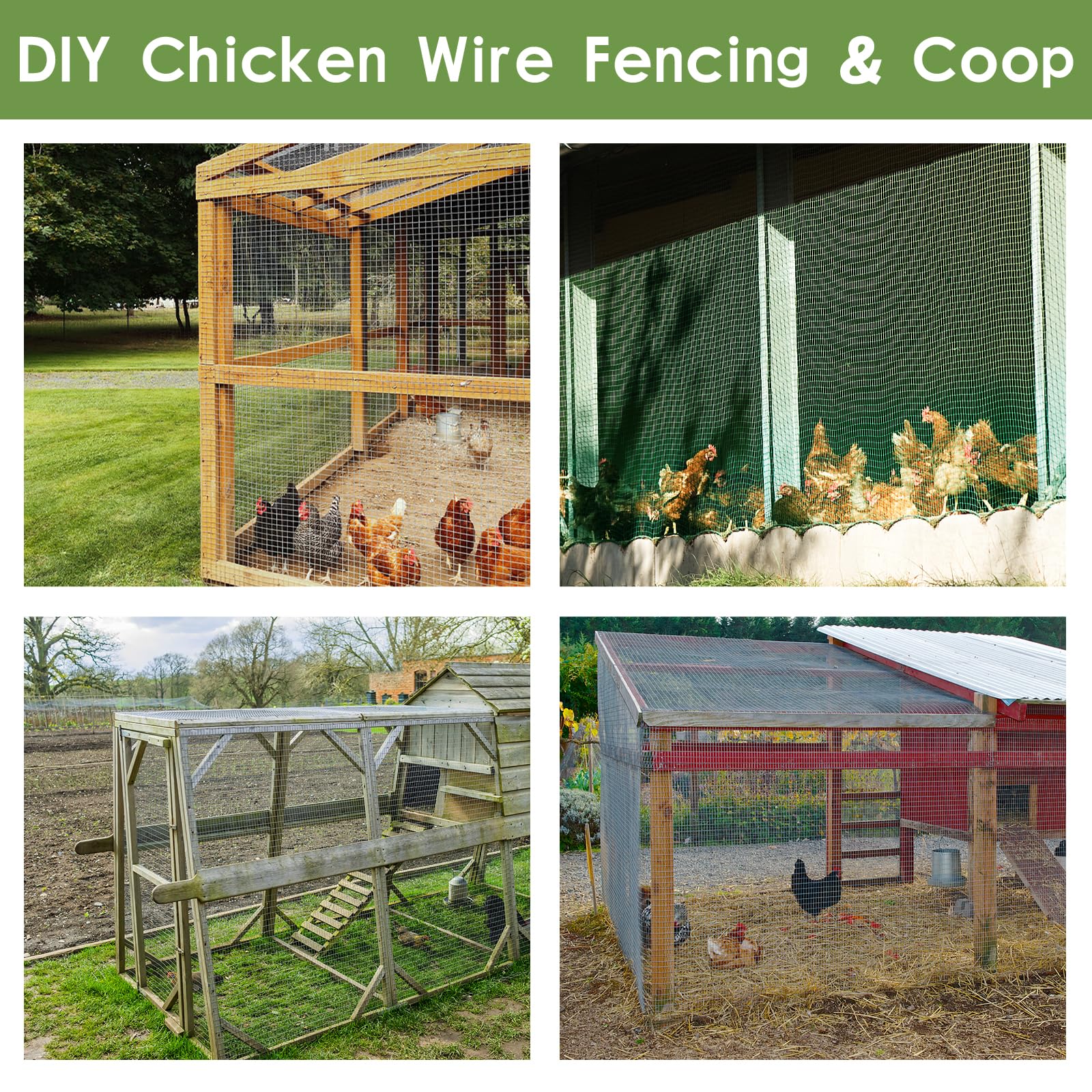 Tongmo hardware cloth installed as a poultry run showing animal protection and airflow