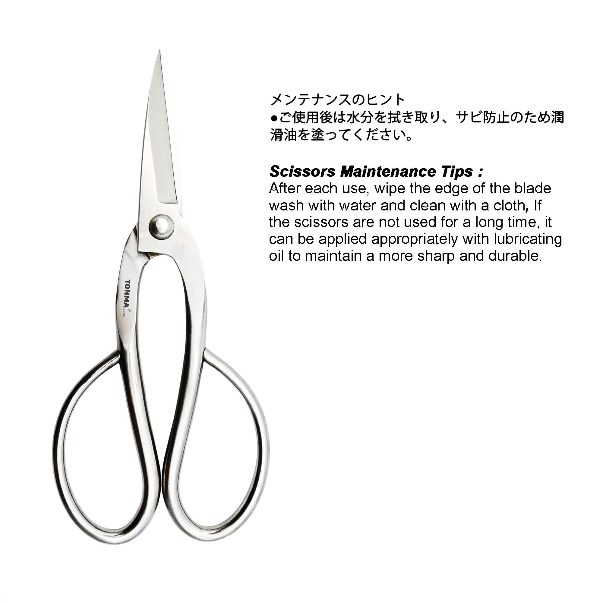 TONMA JP scissors beside ruler showing 8-inch scale for size reference