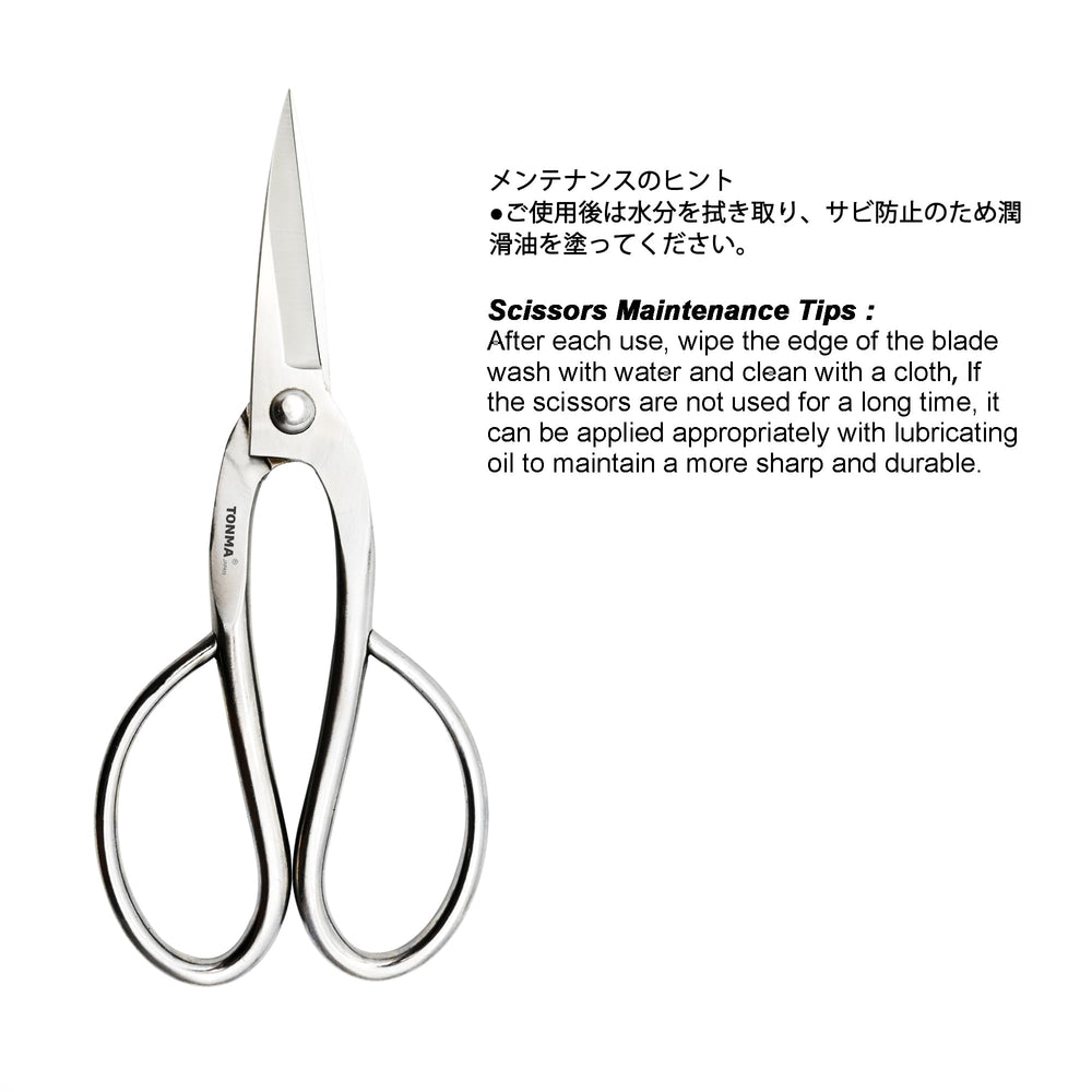 TONMA JP scissors beside ruler showing 8-inch scale for size reference