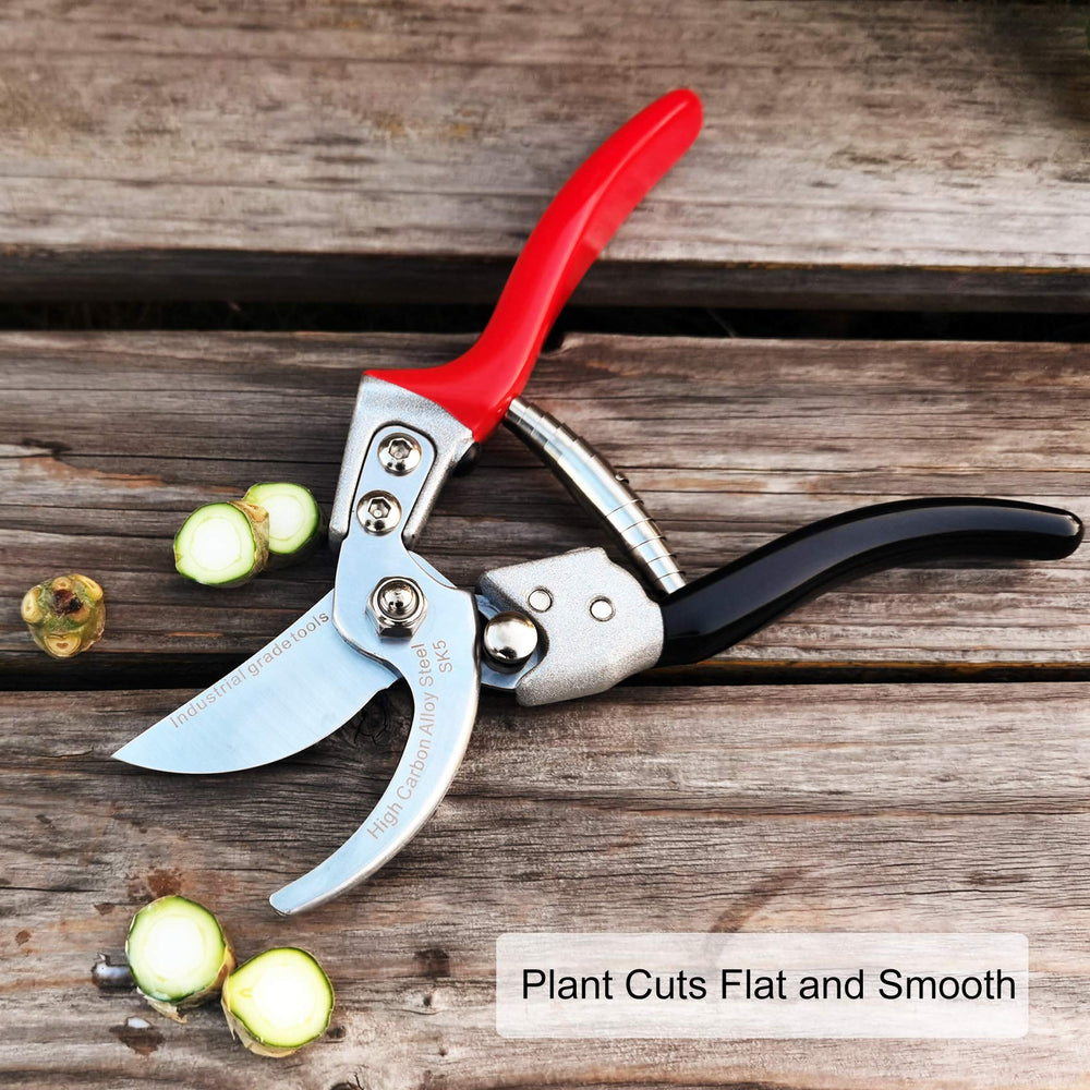 TONMA pruning shears next to a ruler for clear size and scale reference