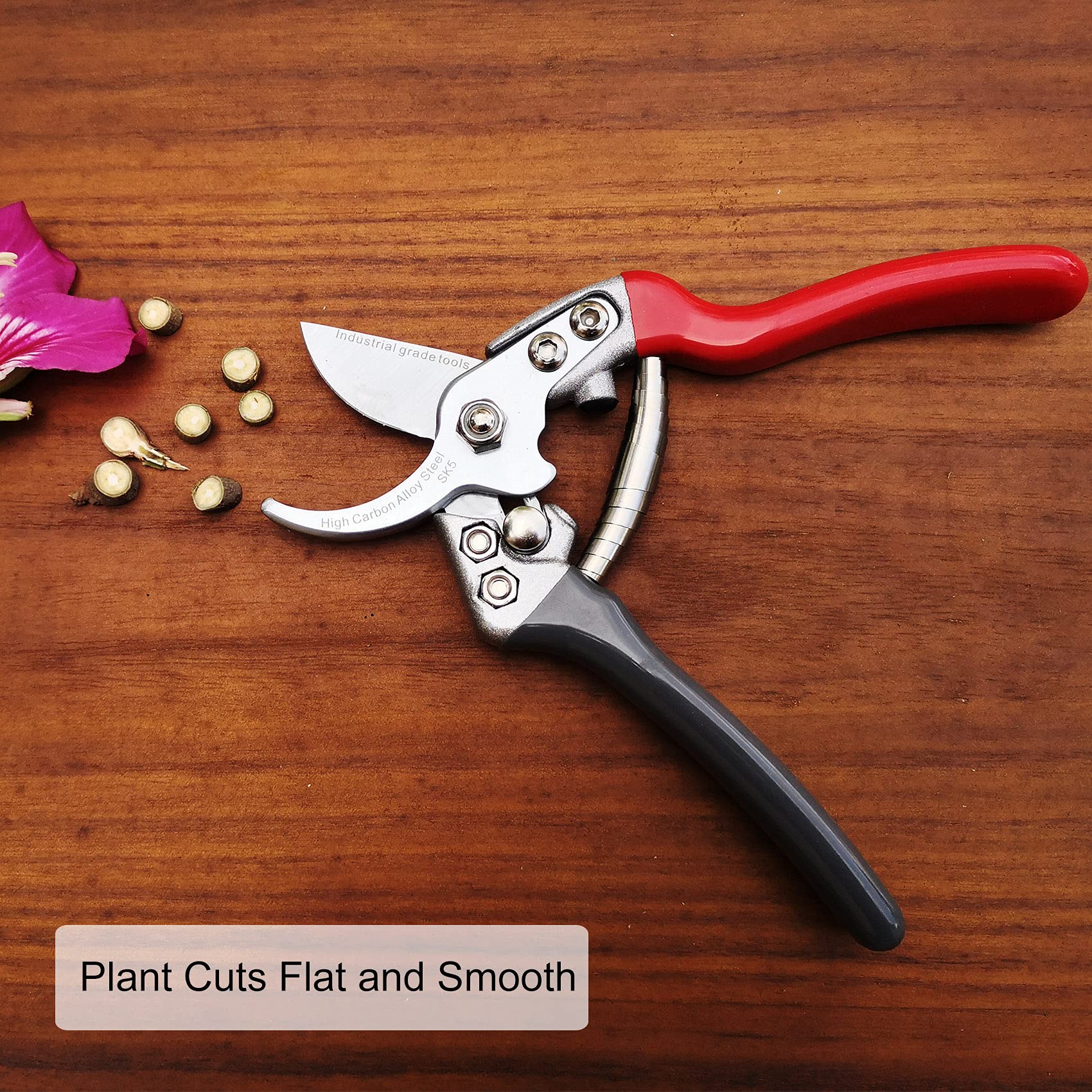 TONMA pruners next to a ruler for scale showing 7.5-inch length and portability benefit