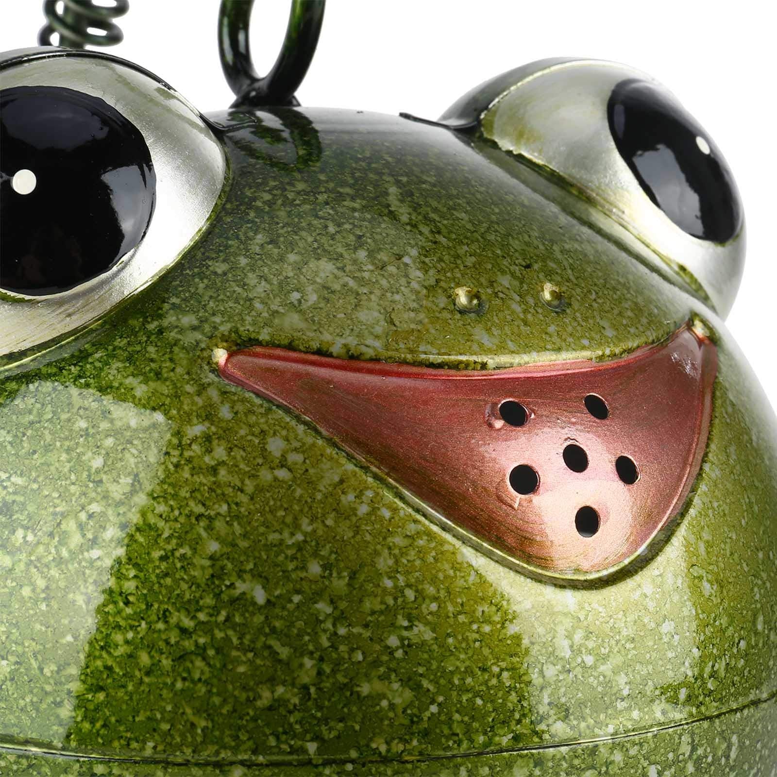 Tooarts frog watering can metal finish close-up showing rust-resistant baking paint