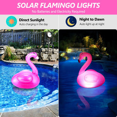 Toodour flamingo close-up of vinyl texture and solar panel durability