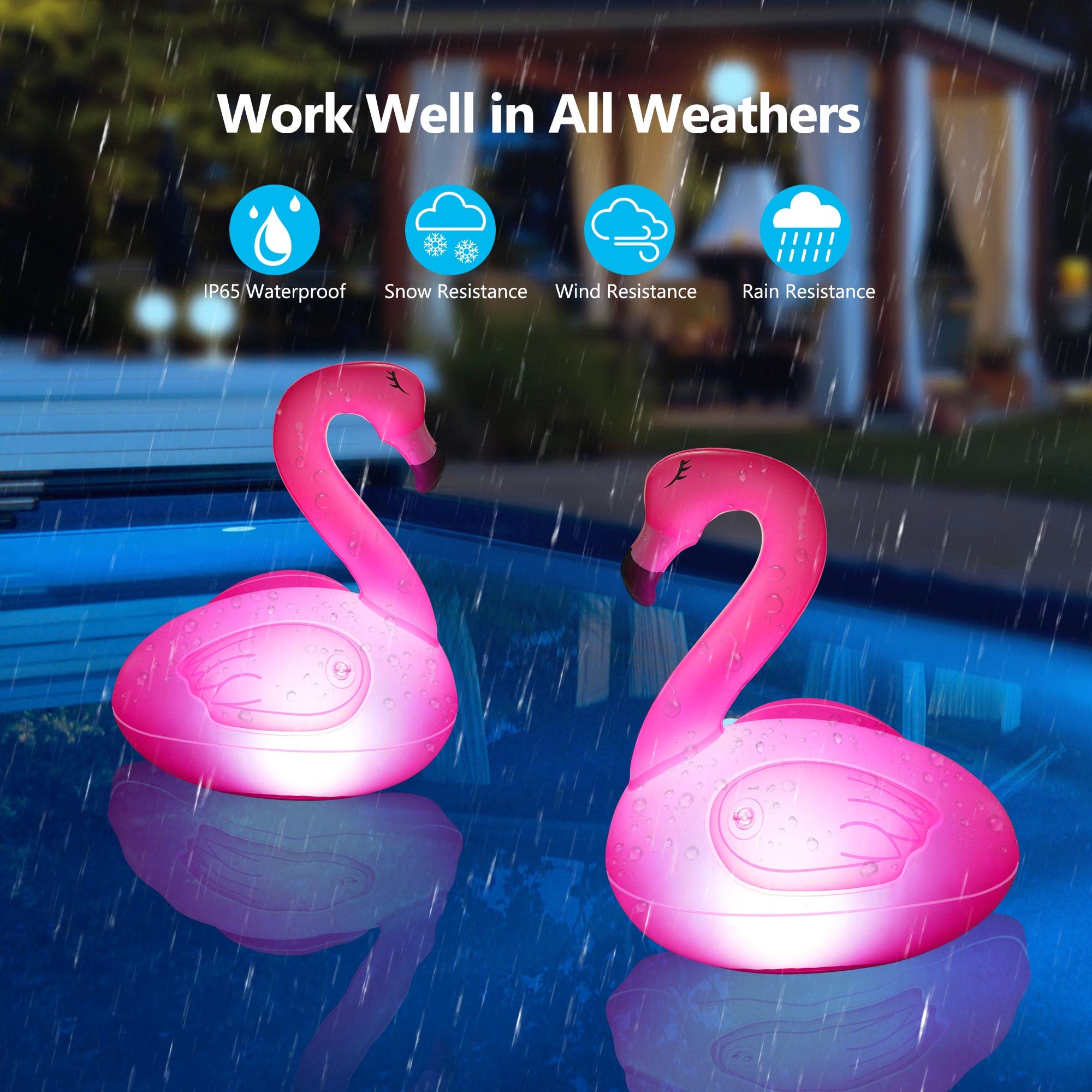 Toodour flamingo floating in pool at dusk creating warm ambiance