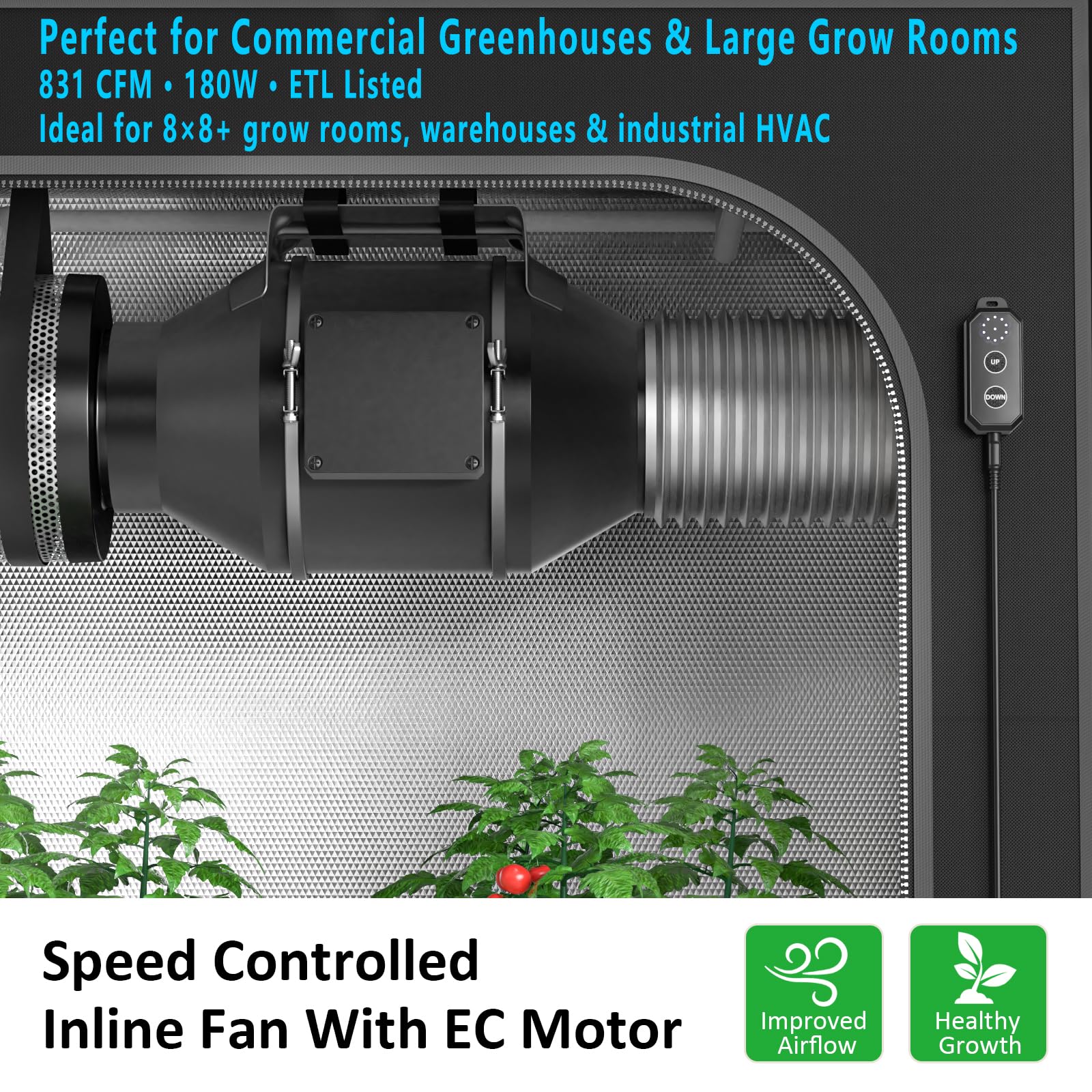 Toolazy installed in a greenhouse illustrating large-space ventilation performance