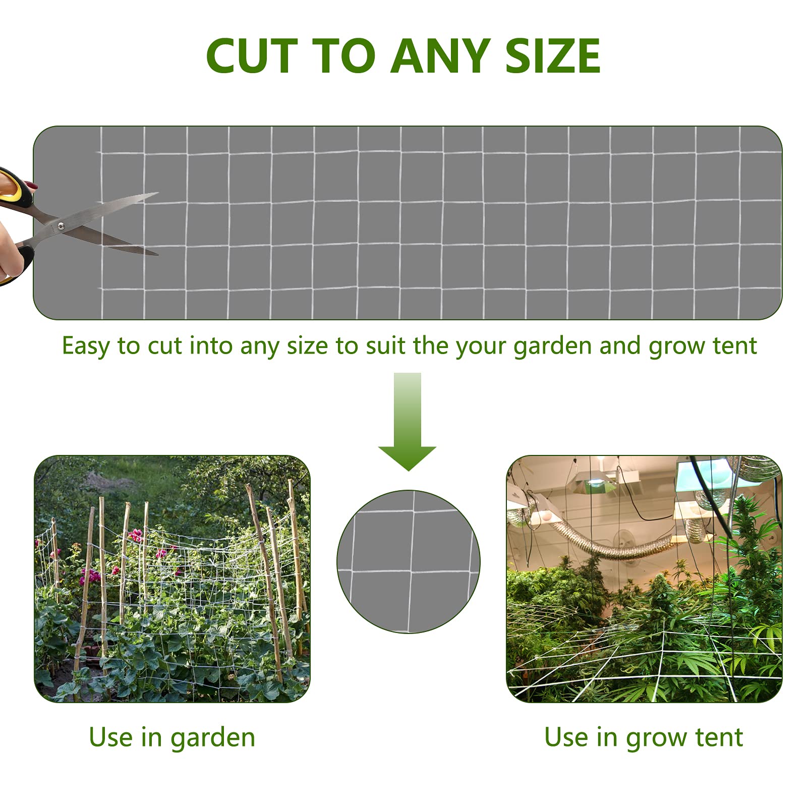 Toolazy netting installed on greenhouse wall improving airflow and light exposure