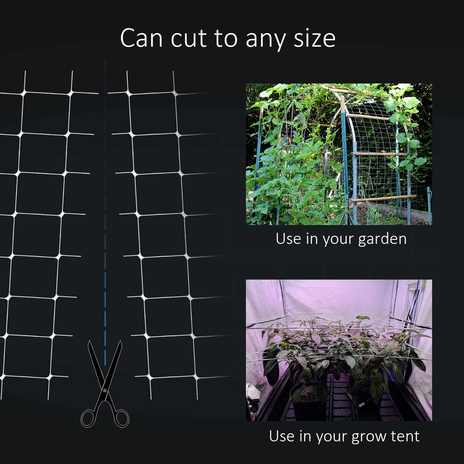 Toolazy trellis installed vertical supporting tomatoes and improving airflow